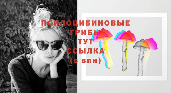 кокс Алзамай