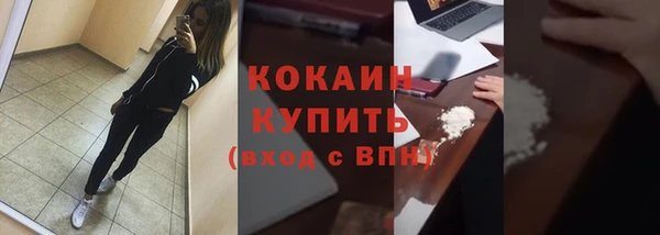 стафф Алексин