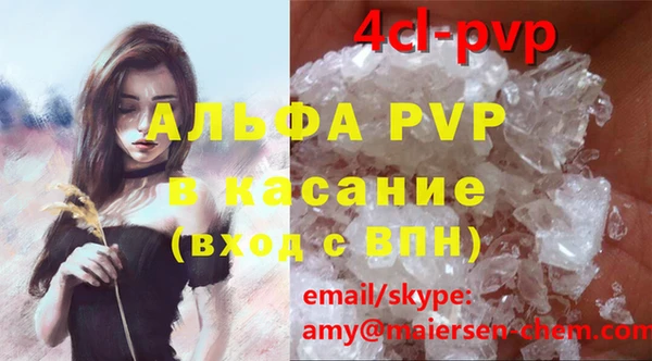 стафф Алексин
