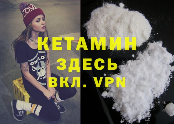 стафф Алексин