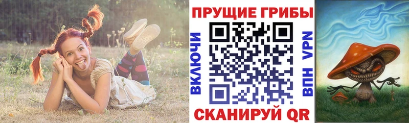 мега ONION  Кулебаки  Псилоцибиновые грибы Cubensis 